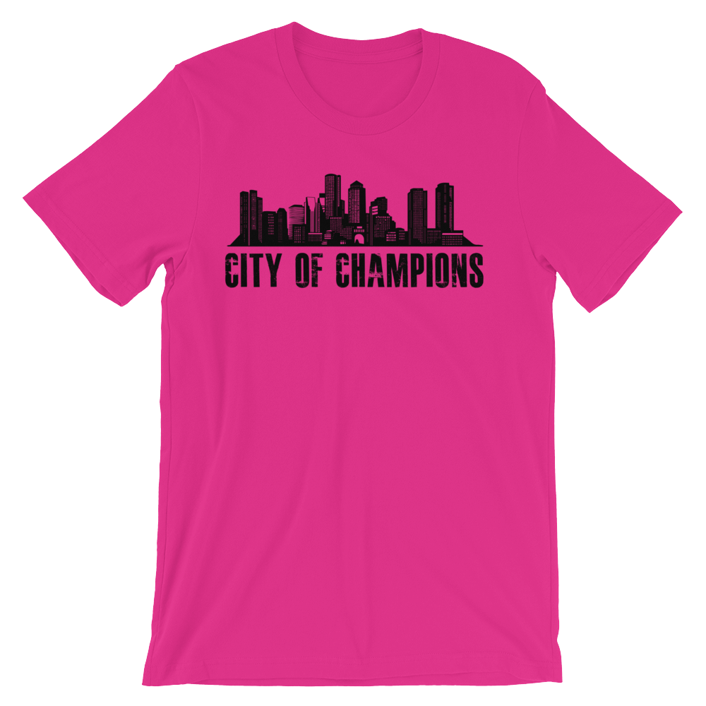 Boston City of Champions t-shirt
