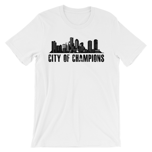 Boston City of Champions t-shirt
